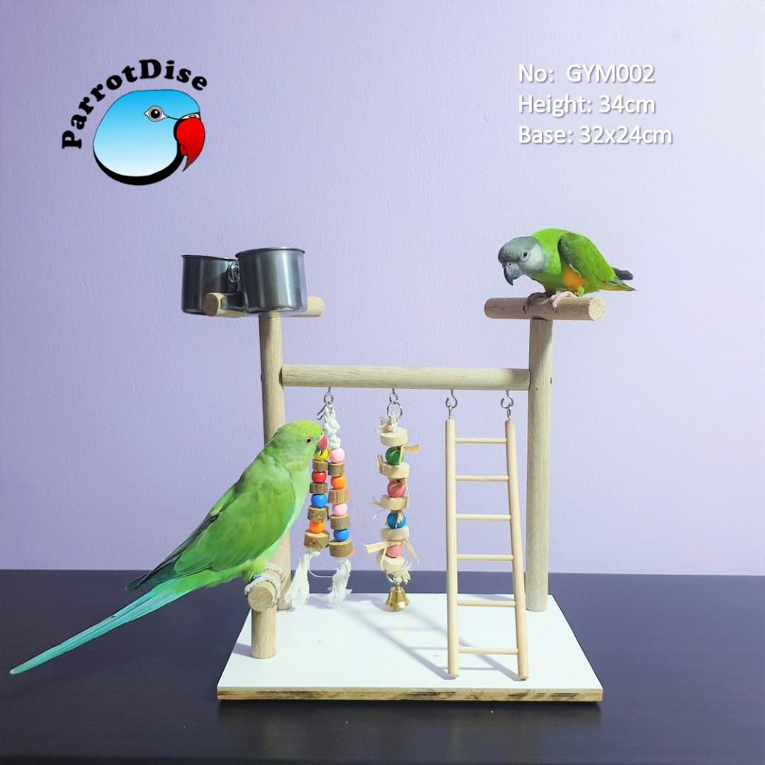 Parrot Bird Table Top Play Gym 002 Pet Supplies Homes Other Pet Accessories On Carousell