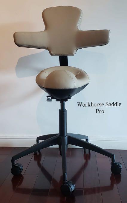 Workhorse online saddle chair