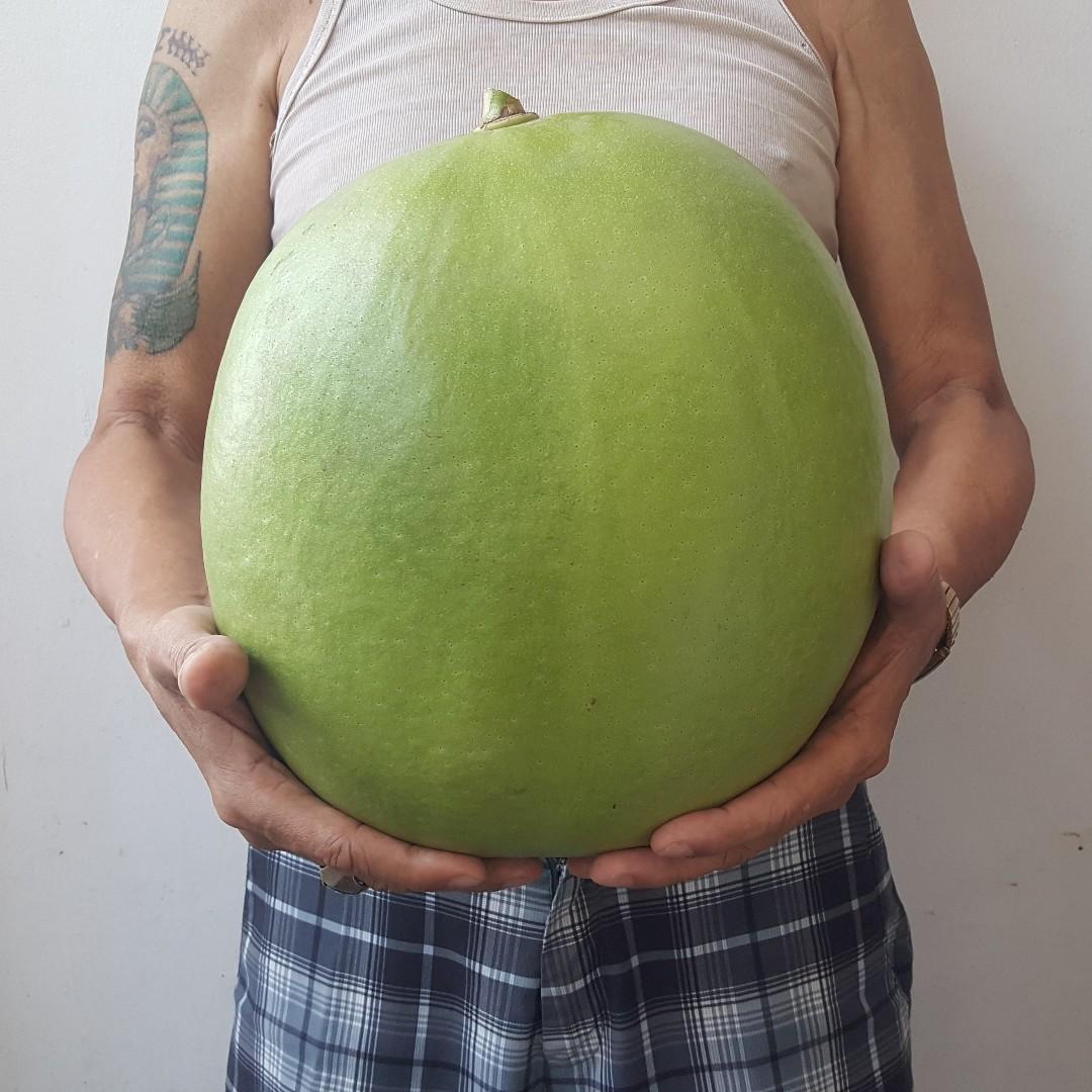 SOLD Calabash Tree Fruit Miracle Fruit Herbal Fruit, Food & Drinks