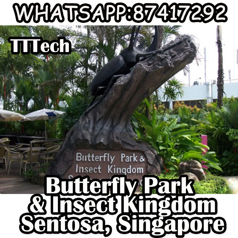 Singapore Sentosa Butterfly Park and Insect Kingdom ETicket [ TTTech