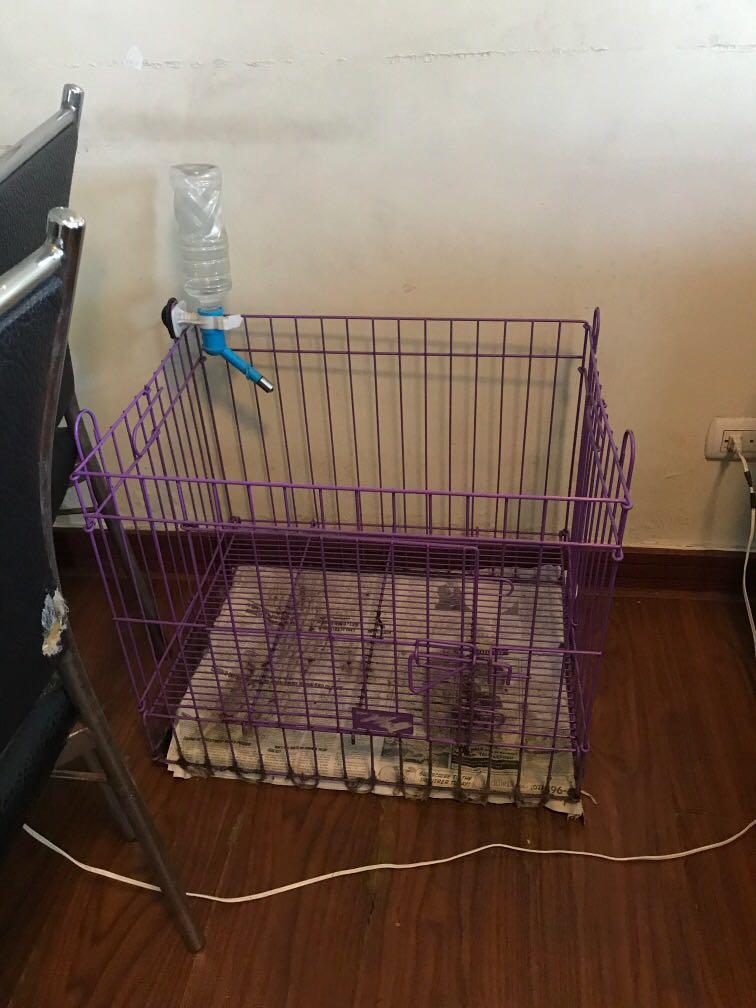 Bundle: dog cage with dog bag plus freebies dog accessories (Category: Homes & Other Pet Accessories) located in Quezon City. Submitted by lainegel (Listing ID 245233198, Image 1). Description: Pick up at eastwood mall, all in with freebies..