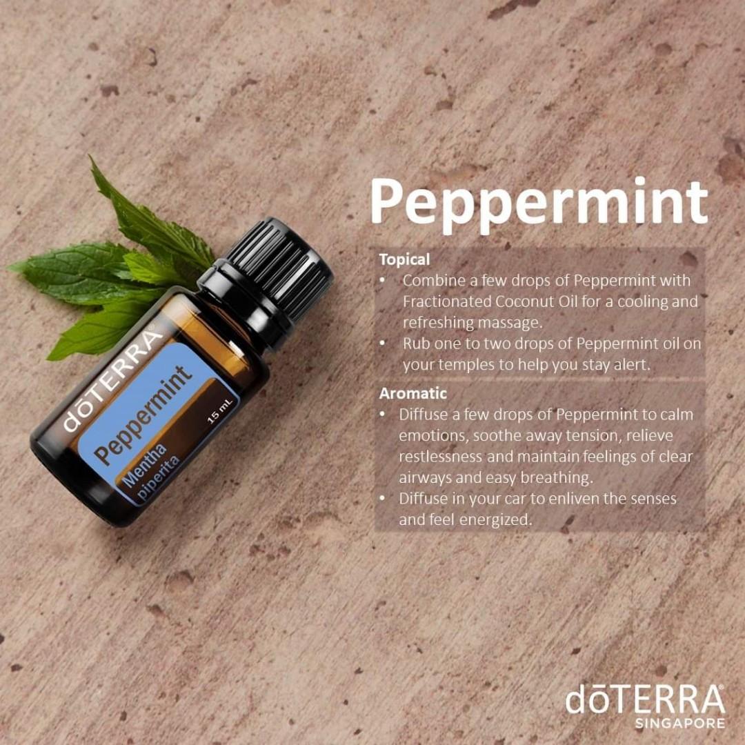 Best seller - Peppermint essential oil, Beauty & Personal ...