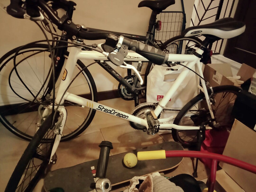 stepdragon mini velo Sports Equipment Bicycles Parts Bicycles on Carousell