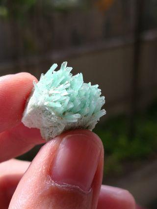 Gpysum selenite specimen
