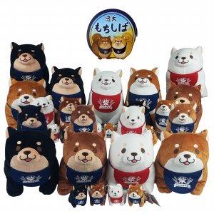 Chuken mochi shiba top