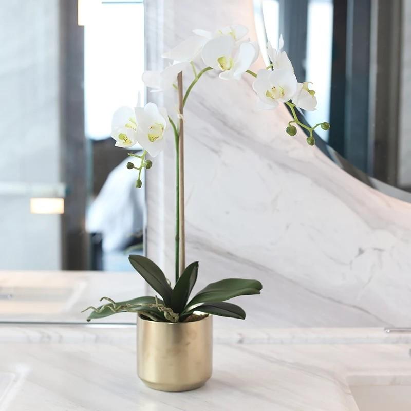 Sale Elegant Artificial Orchid Plant Pot Gardening Plants On Carousell