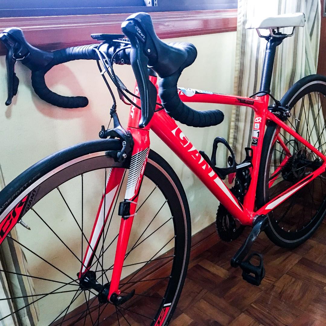 cannondale 51cm