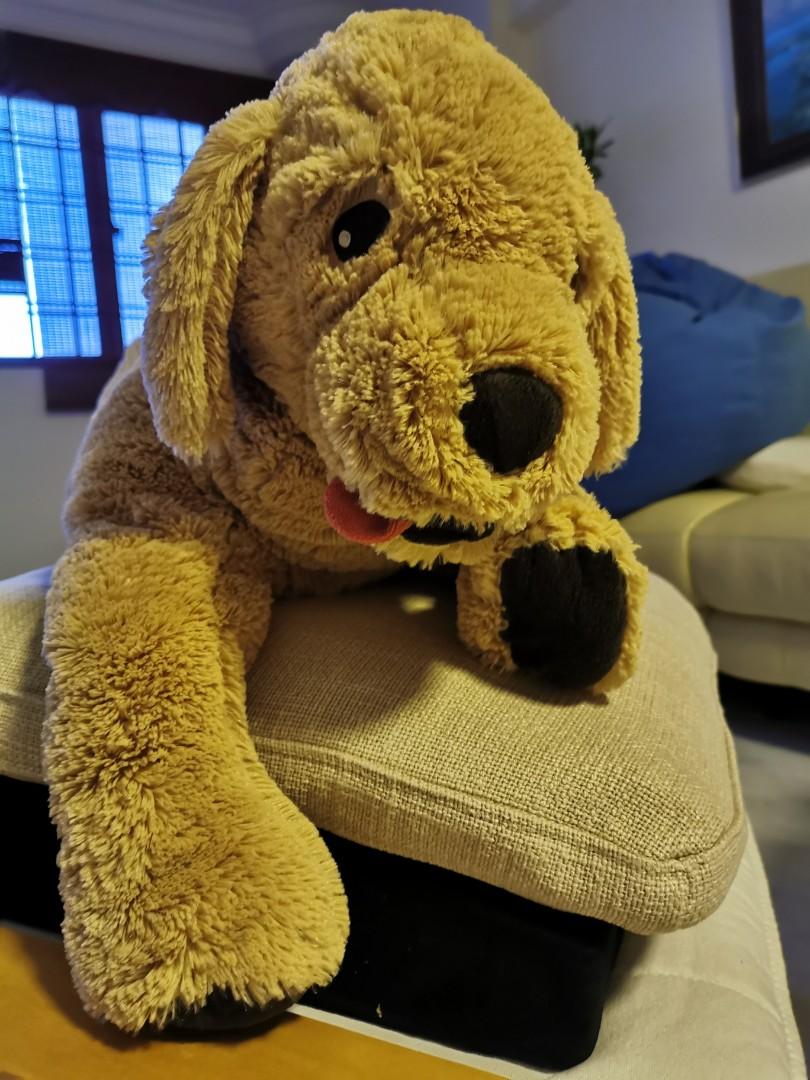 dog stuffed
