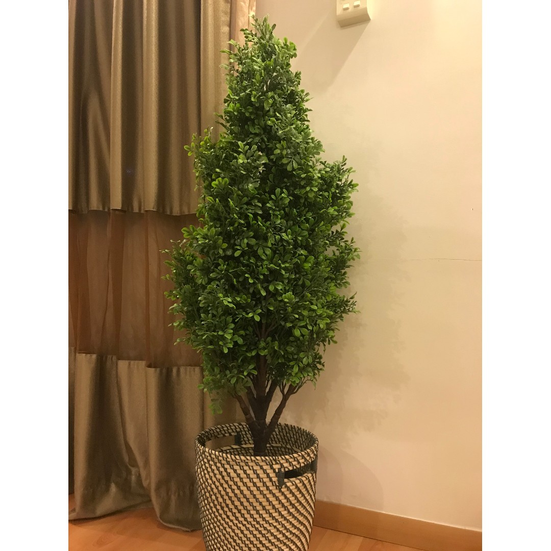 Ikea Fake Plant Big With Pot Gardening Plants On Carousell