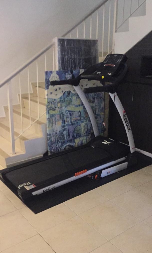 Reebok zr7 treadmill hot sale price