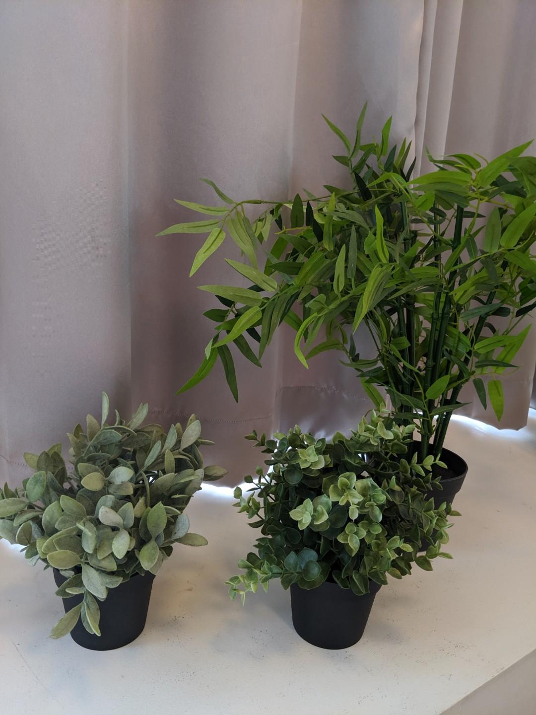 Ikea Us Furniture And Home Furnishings Artificial Potted Plants Small Artificial Plants Ikea Plants