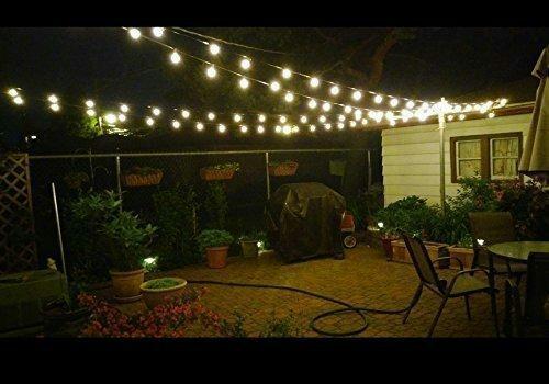 M648 G40 Globe String Lights With Clear Bulbs Ul Listed