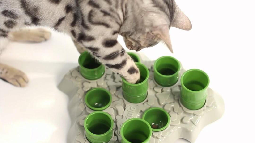 Aikiou sales cat feeder