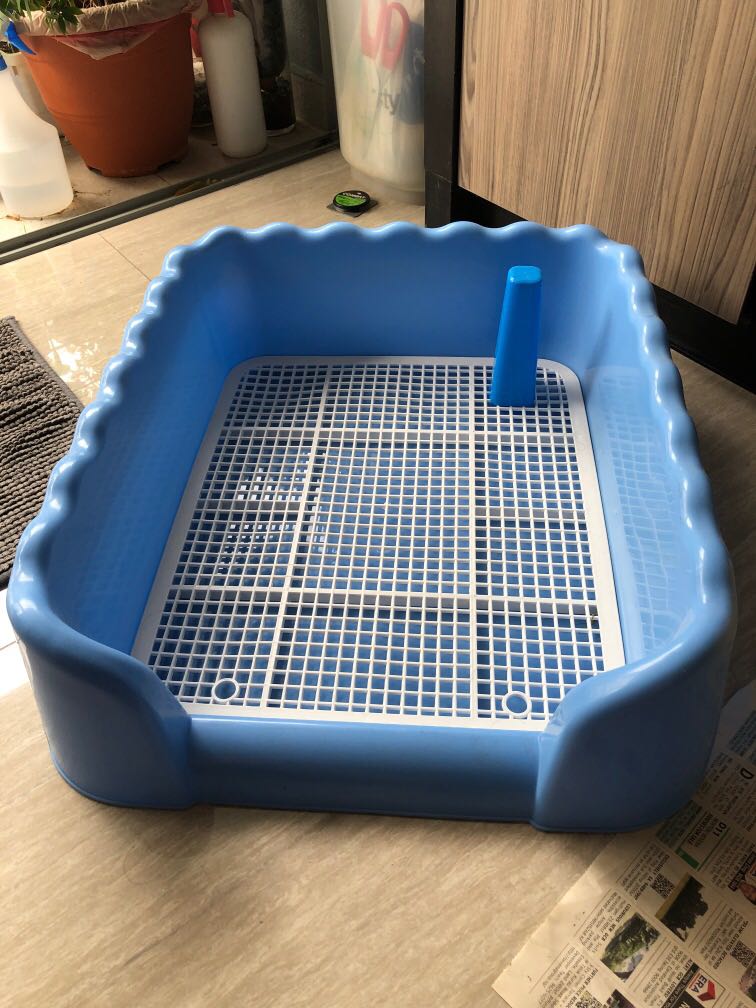 Dog pee tray, Pet Supplies, Homes & Other Pet Accessories on Carousell