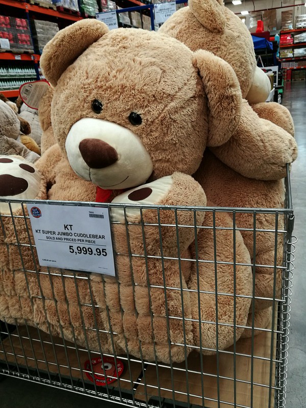 human teddy