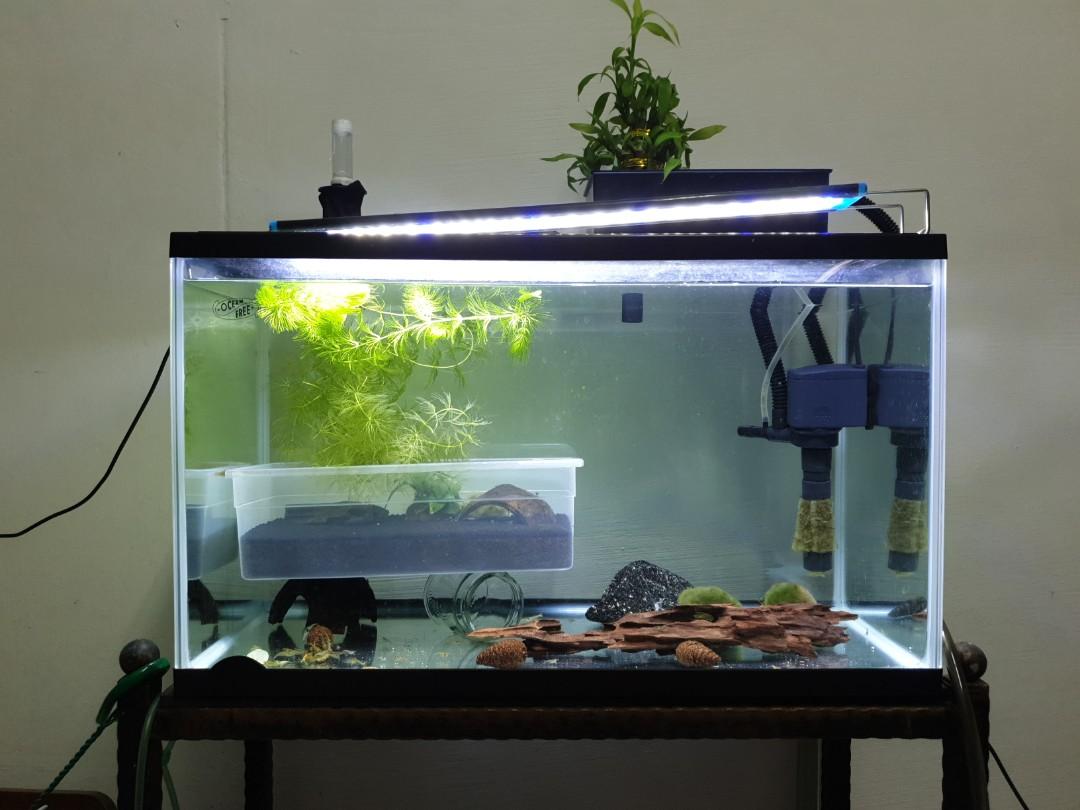 2ft fish tank discount