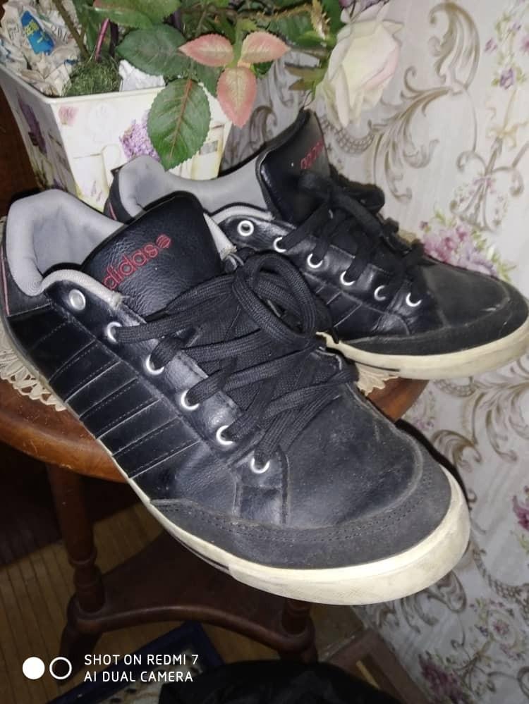 adidas neo ortholite