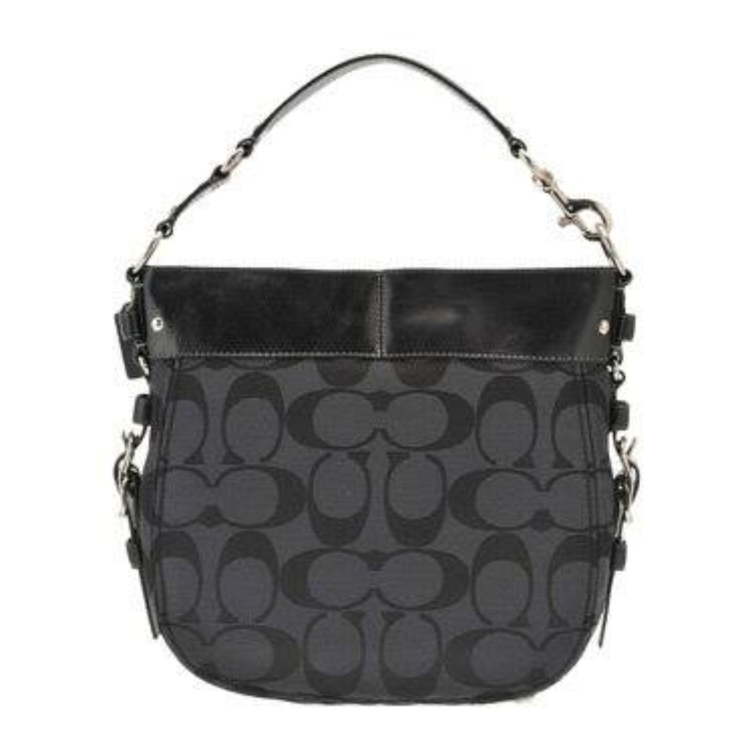 coach zoe bag