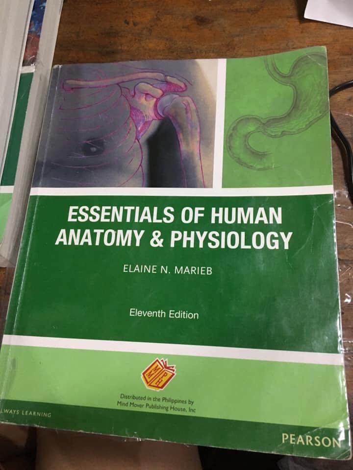 Essentials Of Human Anatomy And Physiology Elaine N Marieb Hobbies Toys Books Magazines Textbooks On Carousell