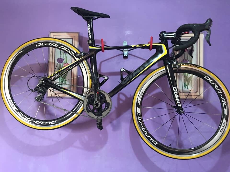 giant advanced composite technology propel