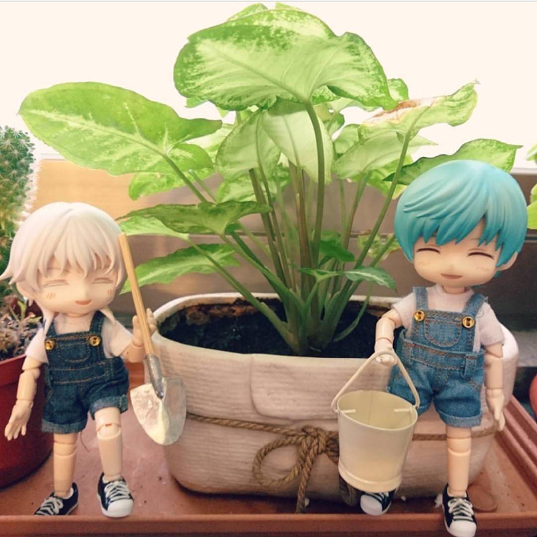 nendoroid doll head