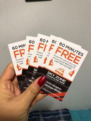 Sky Zone Passes