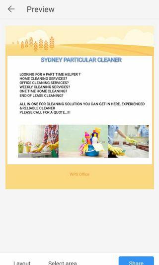 Sydney Particular Cleaner