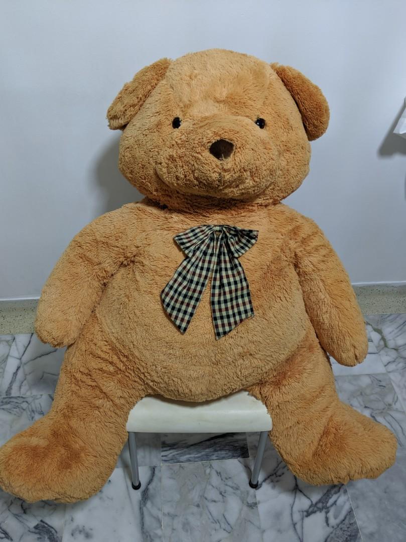 my big teddy bear