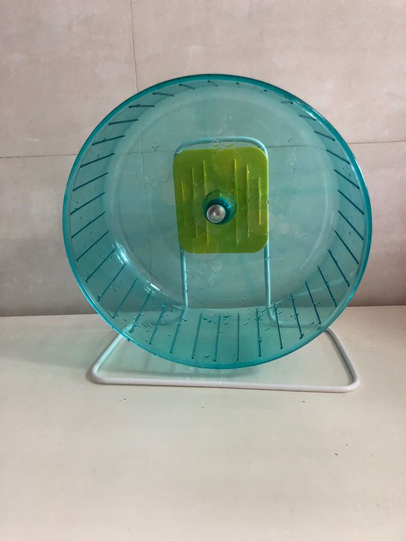 Extra large silent exercise wheel, Pet Supplies, Homes & Other Pet