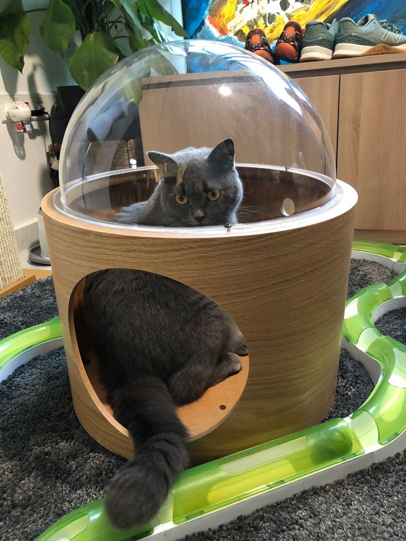 Myzoo Spaceship Gamma Pet Supplies For Cats Cat Accessories On