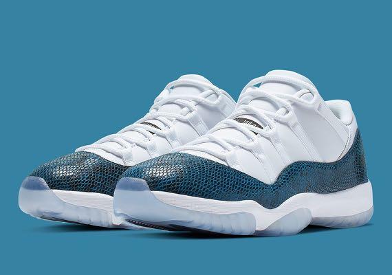 snake jordan 11