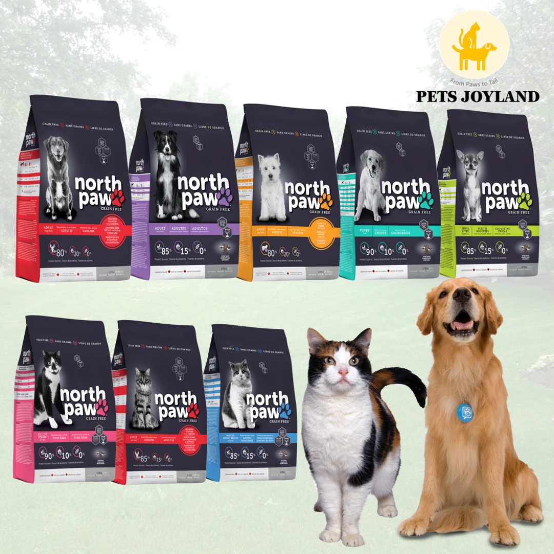 North paws outlet dog food