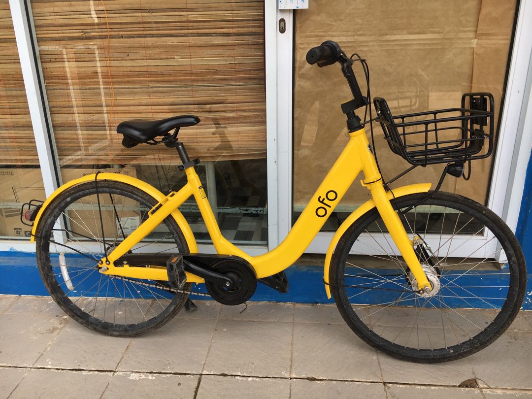 Ofo ban new arrivals