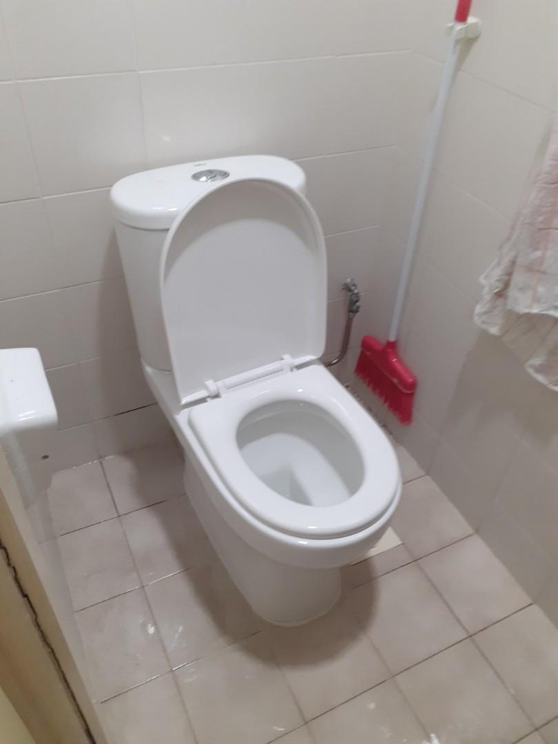 Treo Toilet Bowl Replacment, Flushing outlet inlet repair Replacement