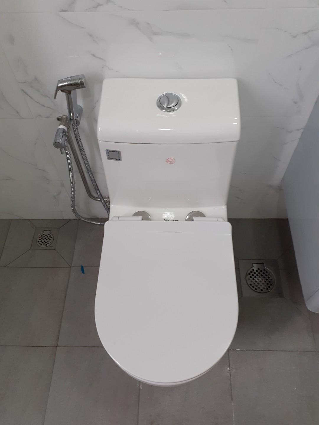 Treo Toilet Bowl Replacment, Flushing outlet inlet repair Replacement