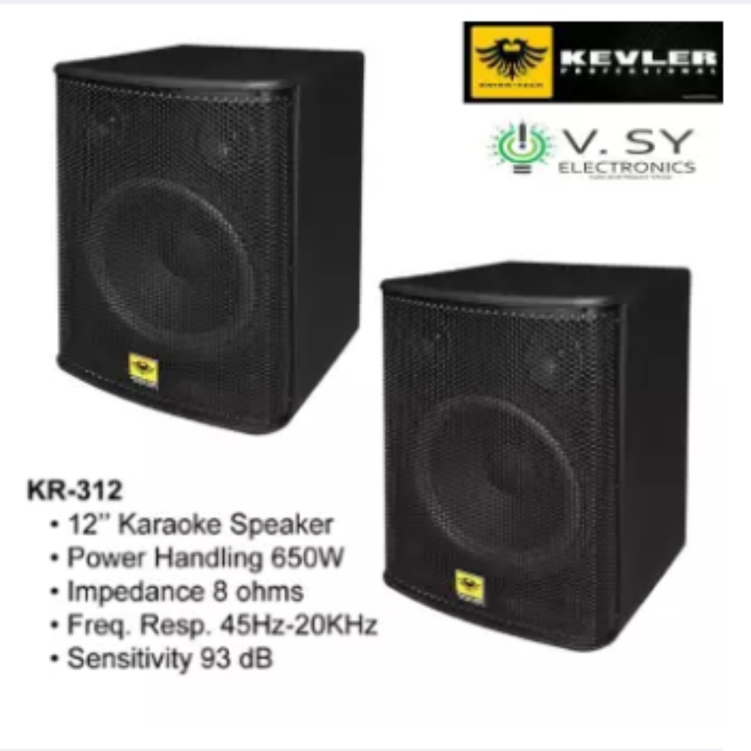 kevler passive speaker