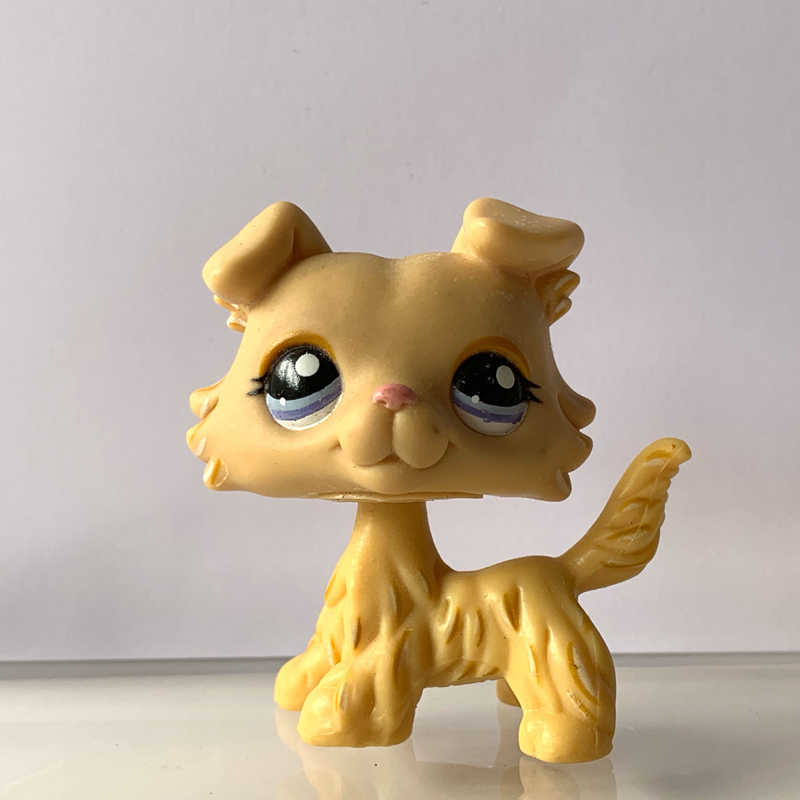 Yellow lps shop collie