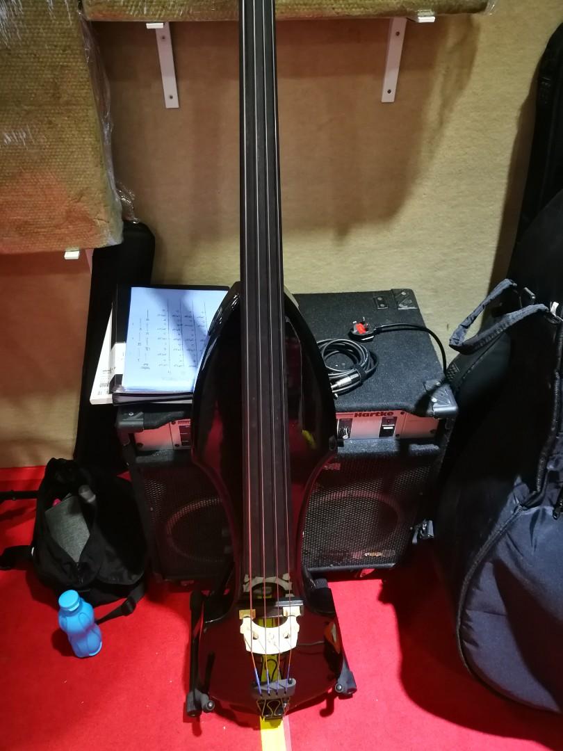 Palatino VE500 Electric Upright Bass (BLACK), Hobbies & Toys, Music