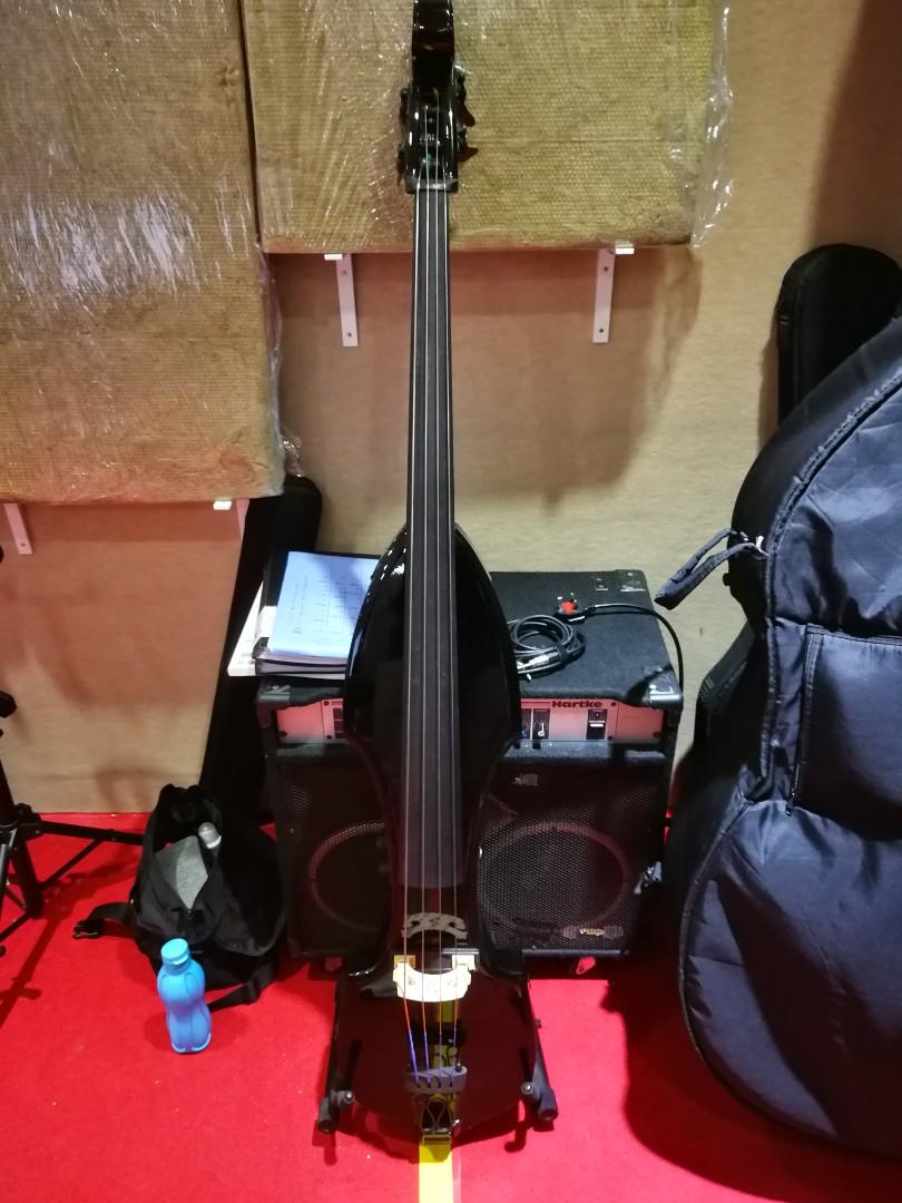 Palatino VE500 Electric Upright Bass (BLACK), Hobbies & Toys, Music & Media, Musical