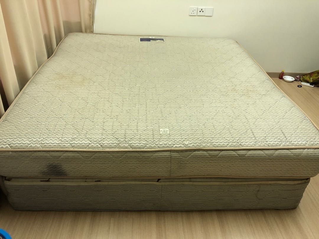Tilam super deals king
