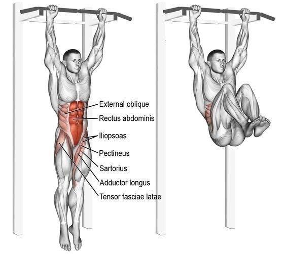Abs pull up bar new arrivals