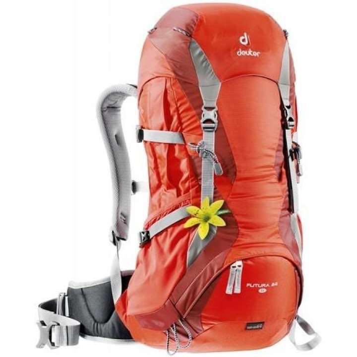 deuter 24l