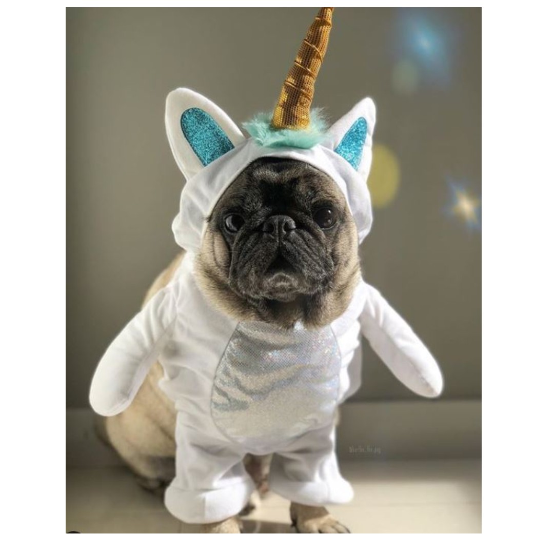 Halloween Pets Instock Unicorn Front Wearing Costume For Dogs And