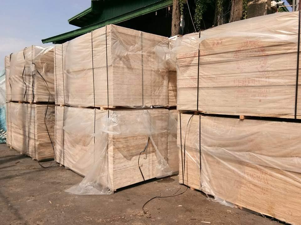 Home of Woods, Lumber, Plywood, Phenolic, lumber, hamba, Doors and many more!!!, Commercial