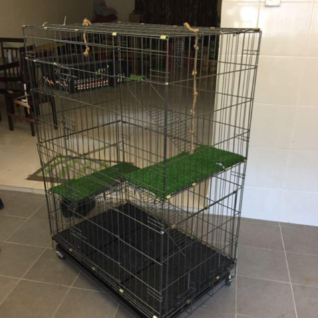 Harga Sangkar Kucing - Fundacionfaroccr