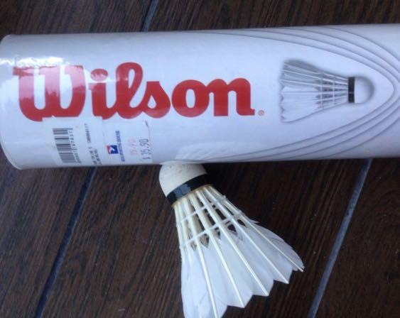 wilson badminton shuttlecock