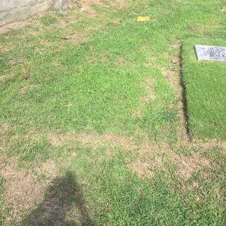 Memorial Lot Lawn Lot Memorial Lot Carousell Philippines