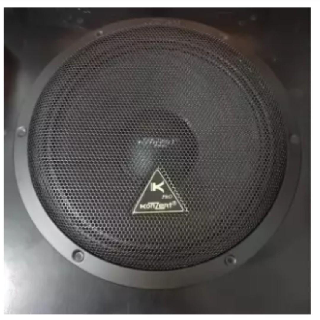 speaker 12 woofer