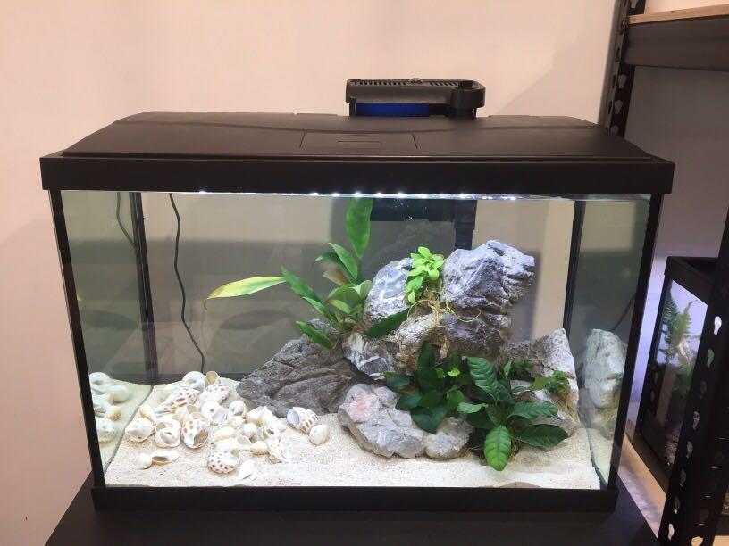 Burger Conceit Herdenkings Brand New 75L Tank., Pet Supplies, Homes & Other Pet Accessories on  Carousell
