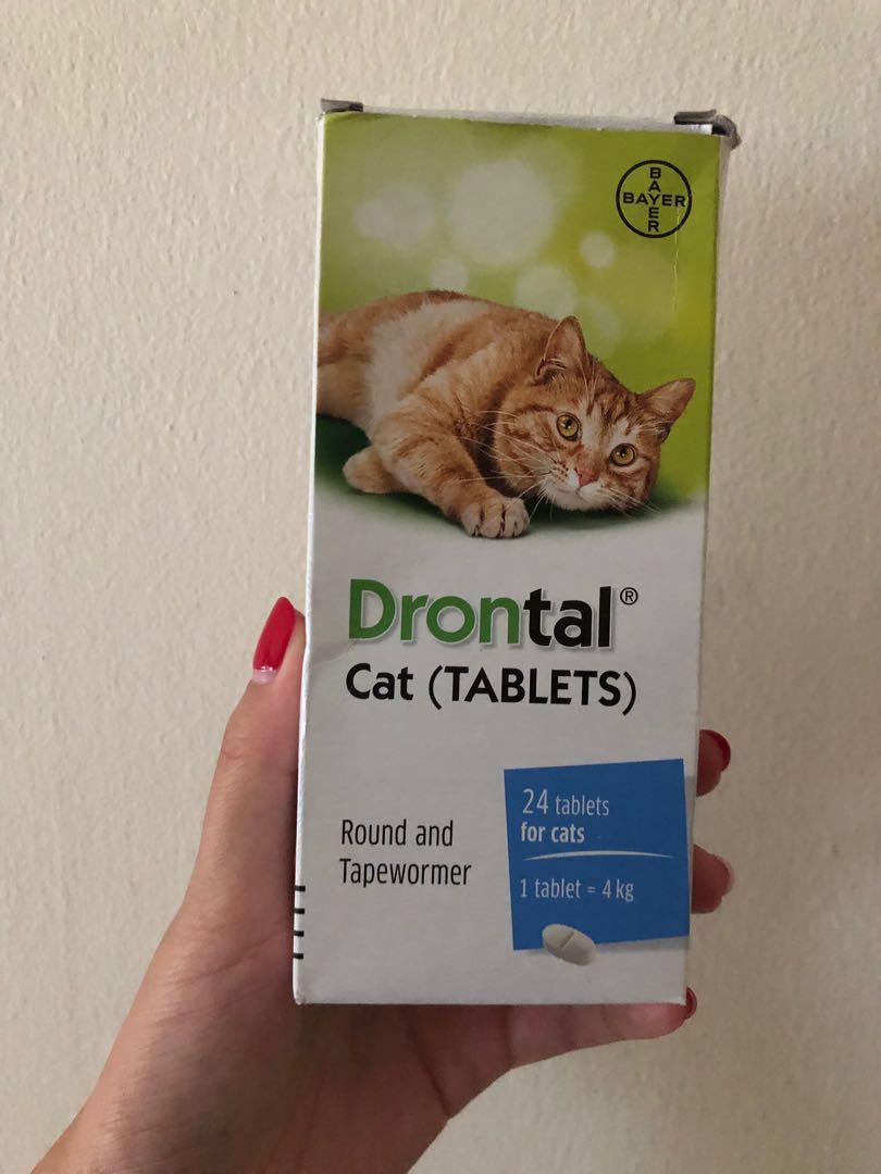 Drontal Deworming Tablet For Cat 1pc Pet Supplies For Cats Health Grooming On Carousell